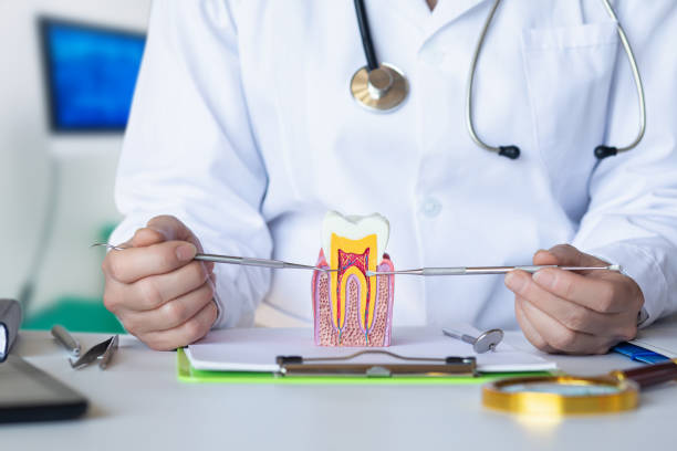 Best Mobile Emergency Dentist in Union Gap, WA